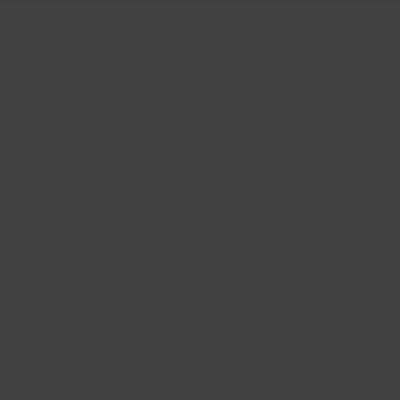 Slate Grey 425 — closet door colour swatch