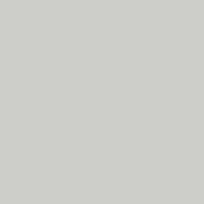 Crisp Grey 3021 — closet door colour swatch