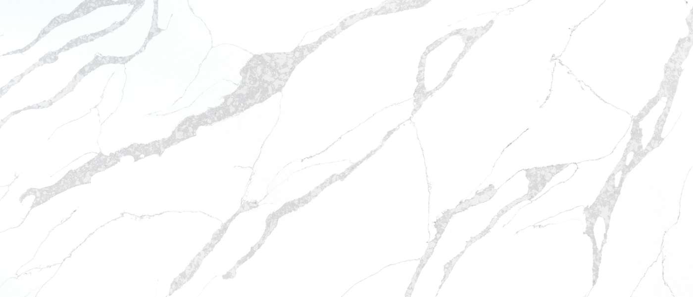 MSI Calacatta Leon — the full slab, MSI Surfaces photo