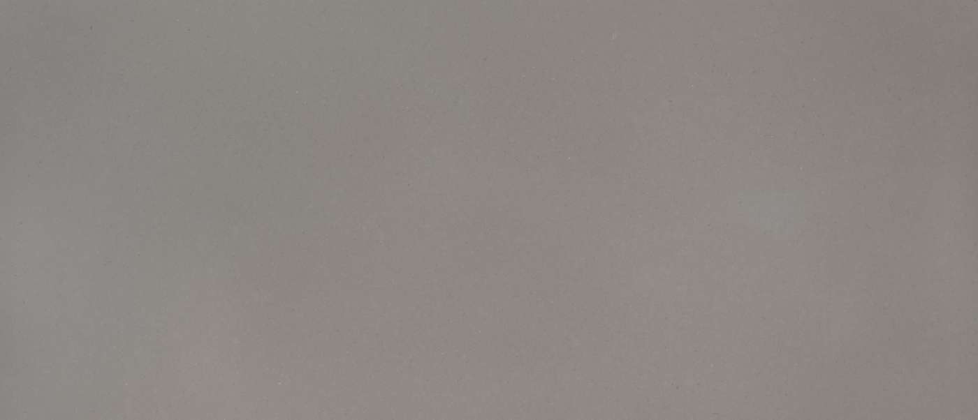 MSI Fossil Gray — the full slab, MSI Surfaces photo
