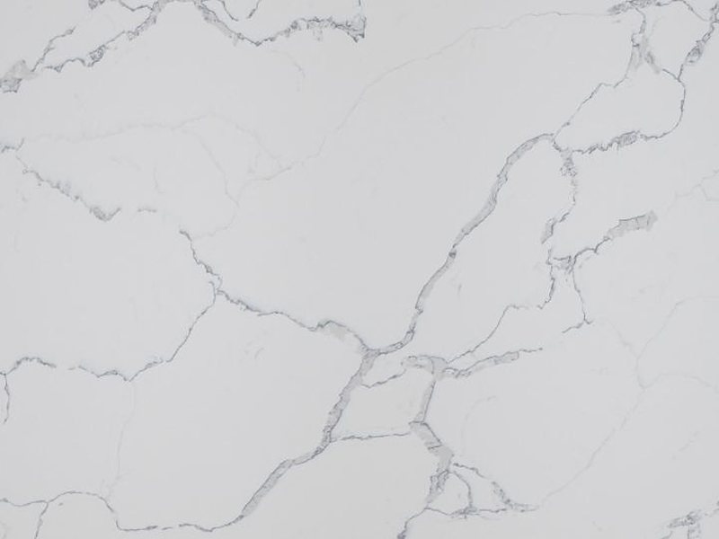 MSI Statuary Classique slab — manufacturer photo